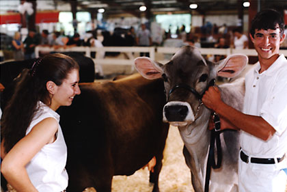 Smiling, a young woman and young man stand on either side of a cow.