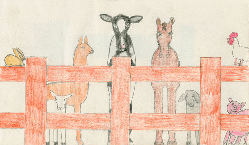 farms animals by a wooden fence include: rabbit, sheep, llama, cow, horse, goat, rooster and pig